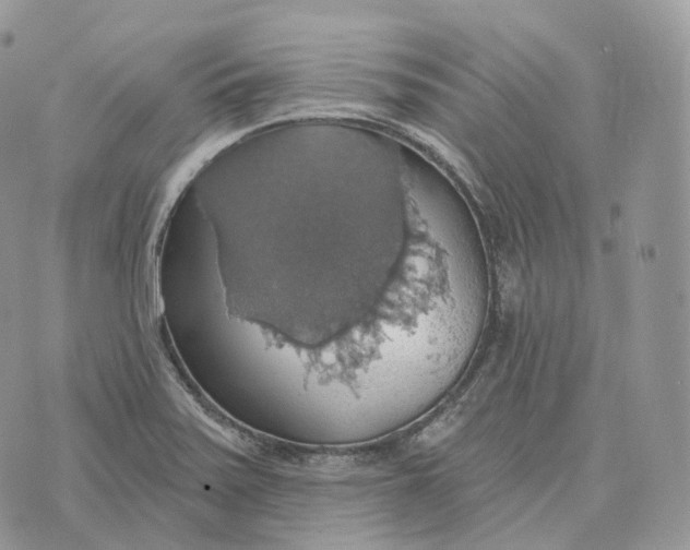 X0000072971371200608111705