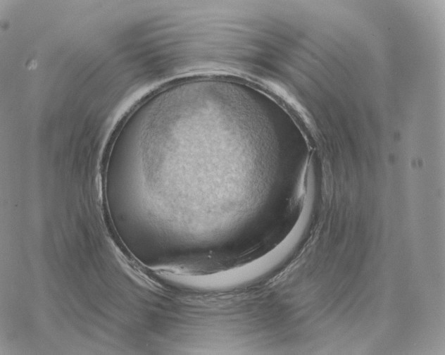 X0000072971372200608111705