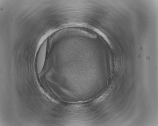 X0000072971373200608111705