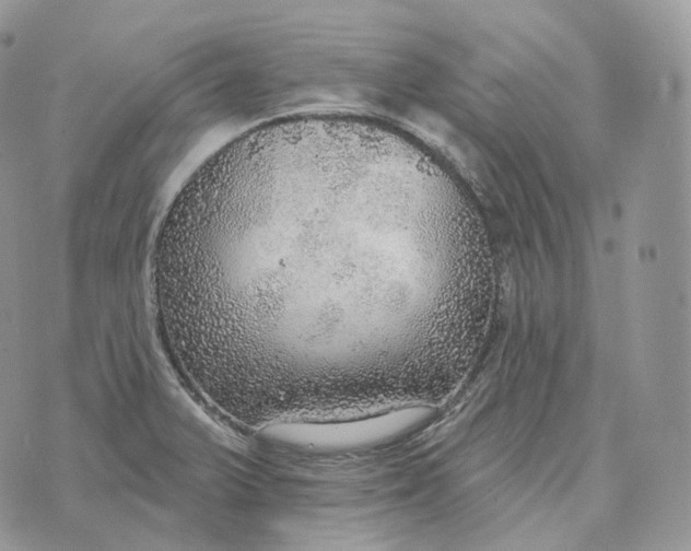 X0000072971375200608111705