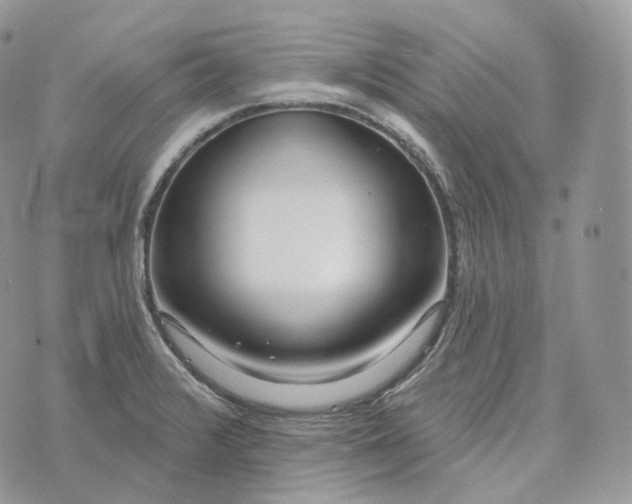 X0000072971376200608111705