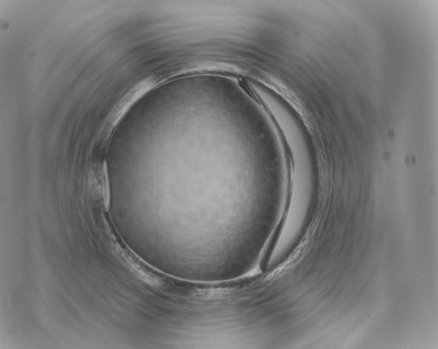 X0000072971377200608111705