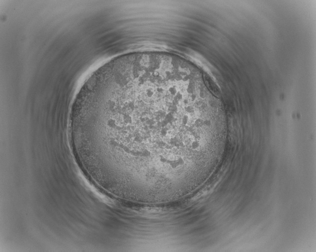 X0000072971379200608111705