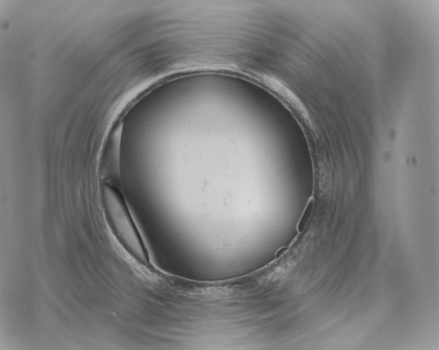 X0000072971380200608111705