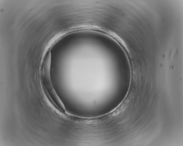 X0000072971381200608111705