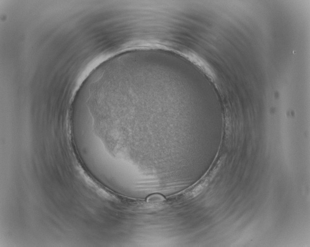 X0000072971382200608111705