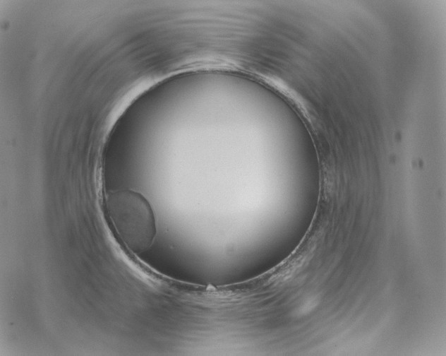 X0000072971383200608111705