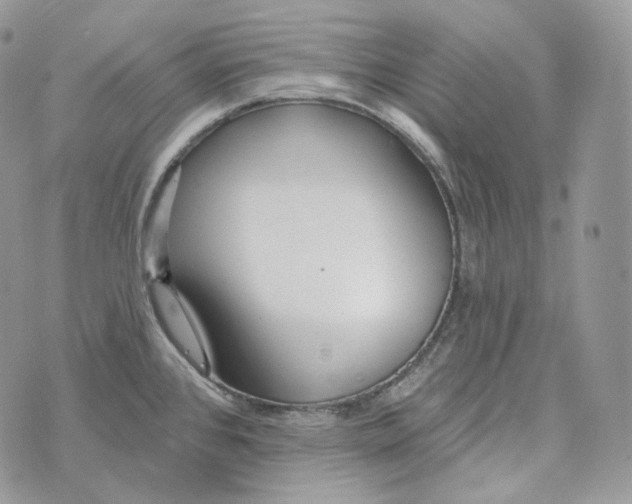 X0000072971384200608111705