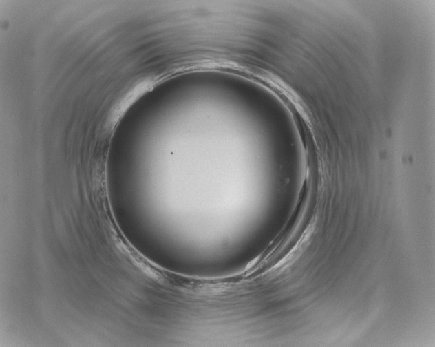 X0000072971385200608111705