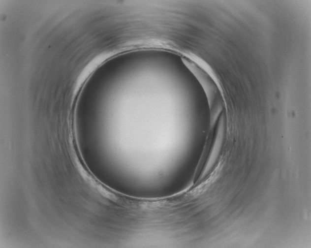 X0000072971389200608111705