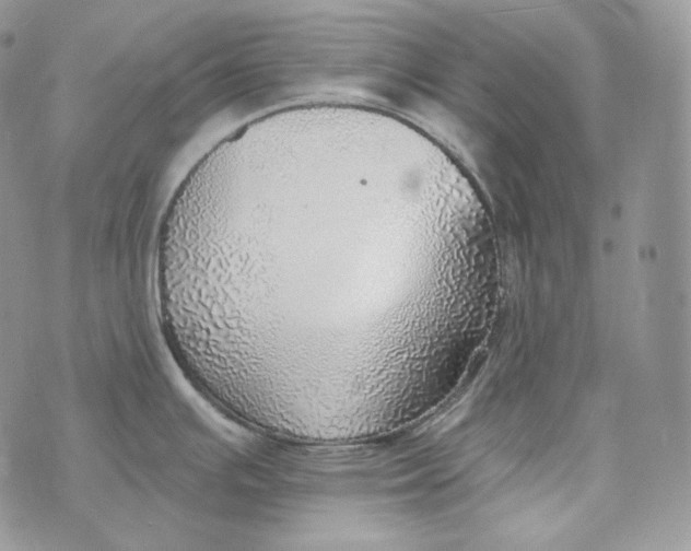 X0000072971391200608111705