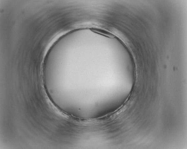 X0000072971392200608111705