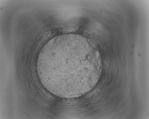 X0000072971393200608111704