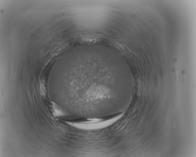 X0000072971394200608111704