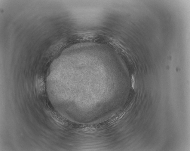 X0000072971395200608111704