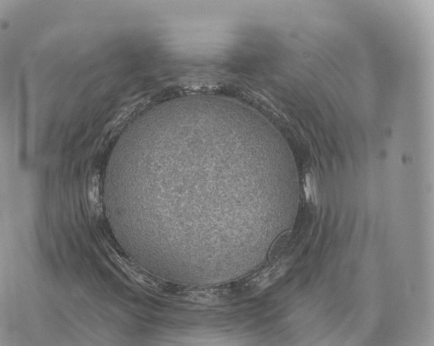 X0000072971396200608111704