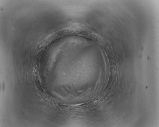 X0000072971397200608111704