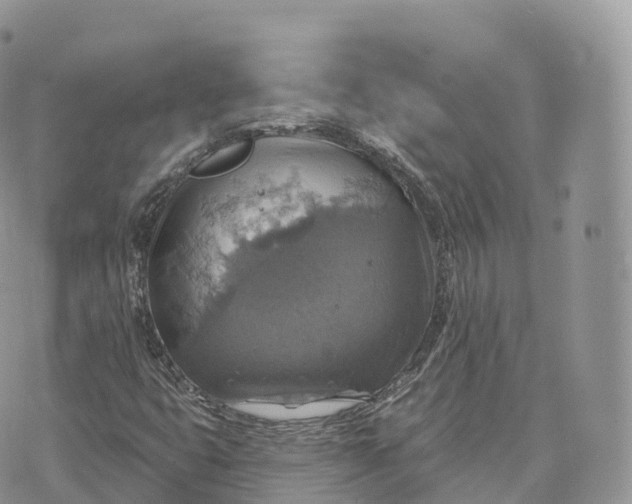 X0000072971399200608111704