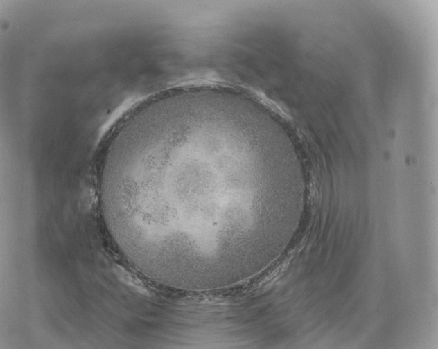 X0000072971400200608111704