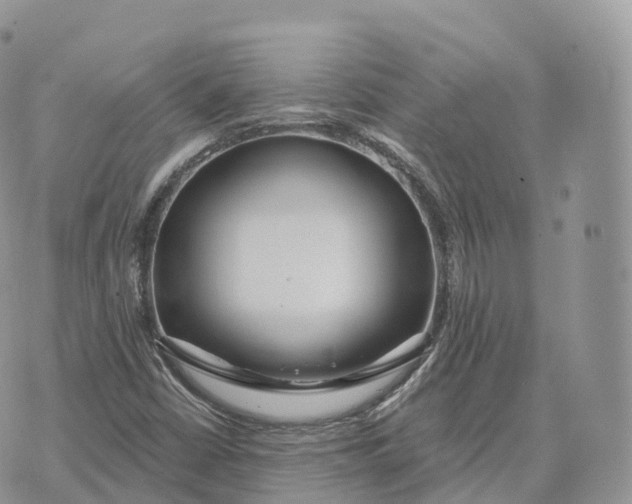 X0000072971402200608111704