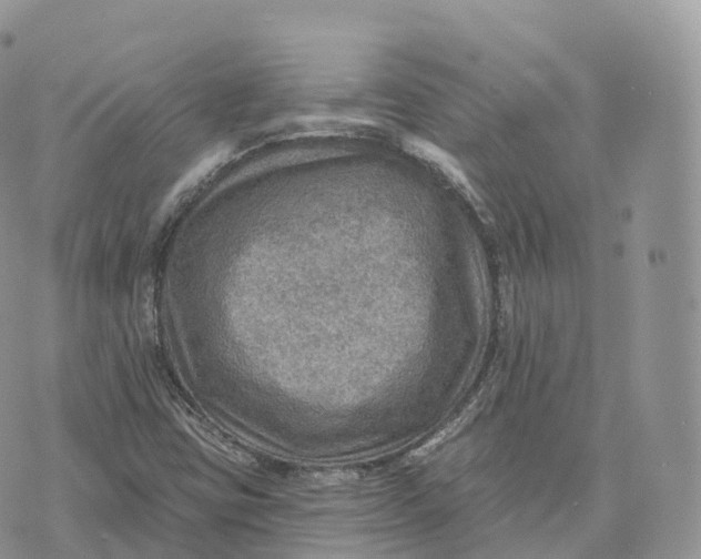 X0000072971403200608111704