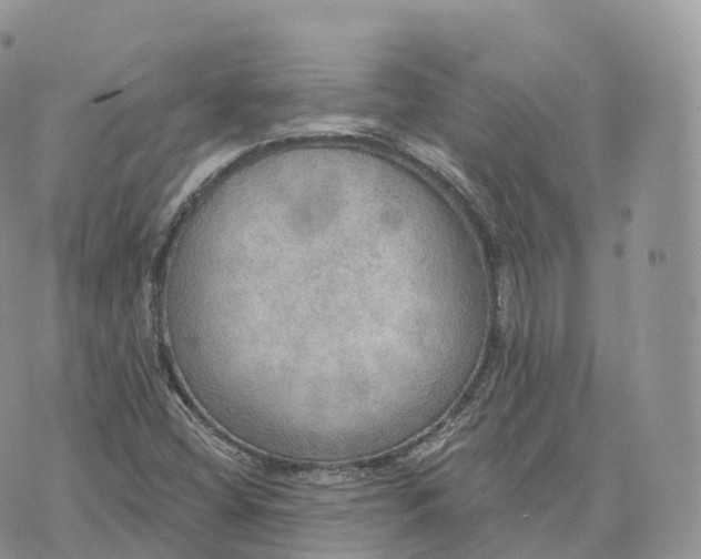 X0000072971404200608111704