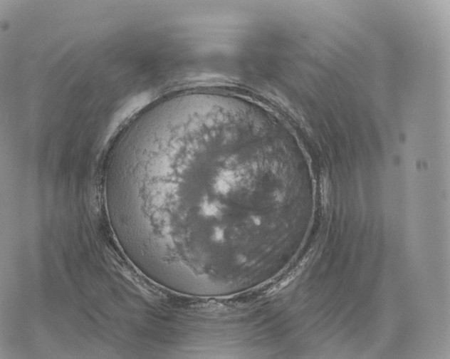 X0000072971405200608111704