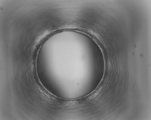 X0000072971406200608111704