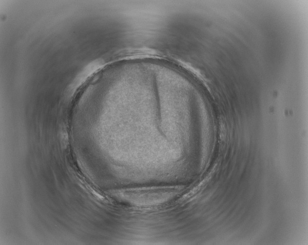 X0000072971407200608111704