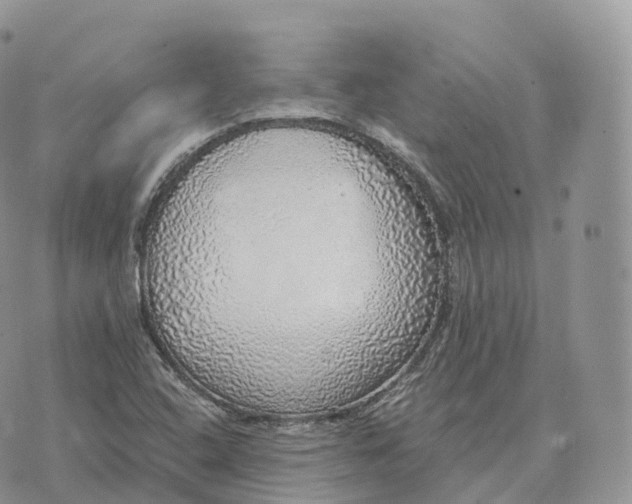 X0000072971408200608111704