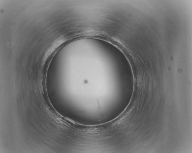 X0000072971410200608111704