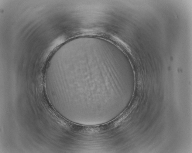 X0000072971411200608111704