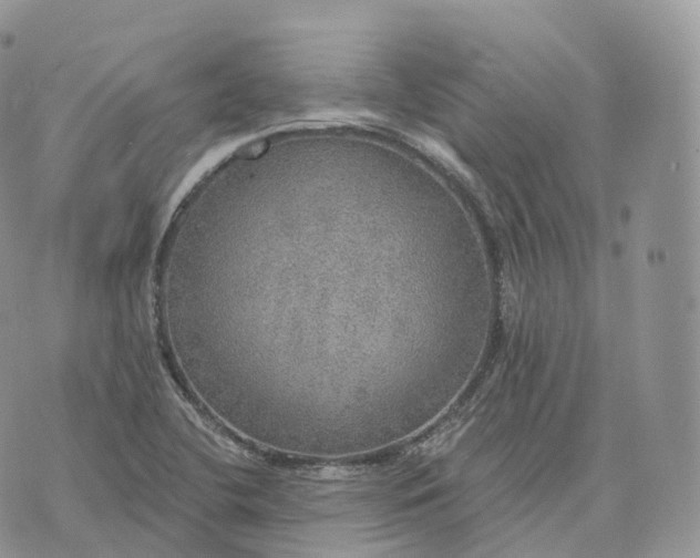 X0000072971412200608111704