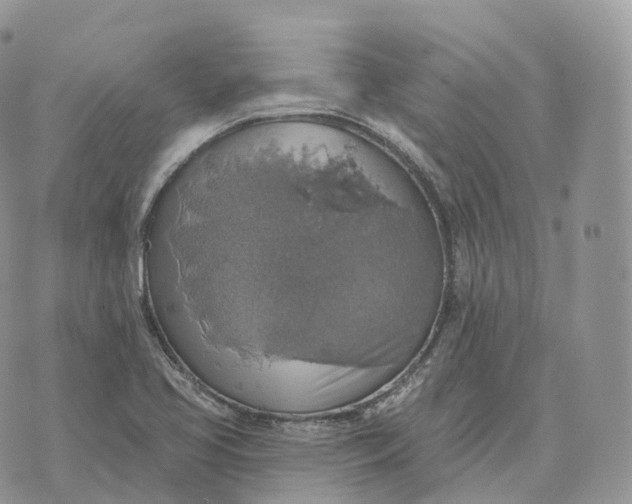 X0000072971413200608111704