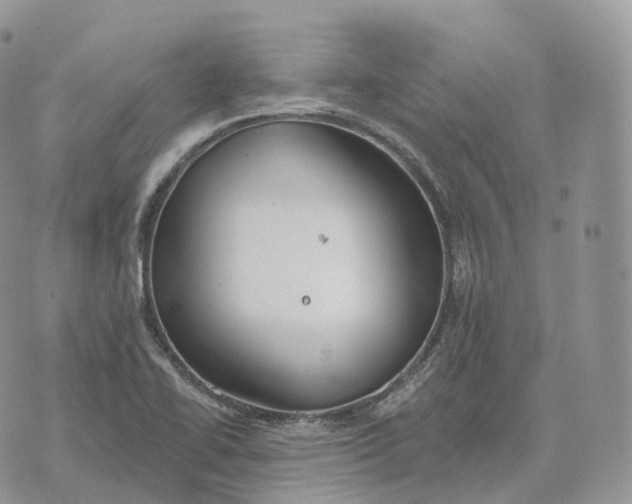 X0000072971414200608111704