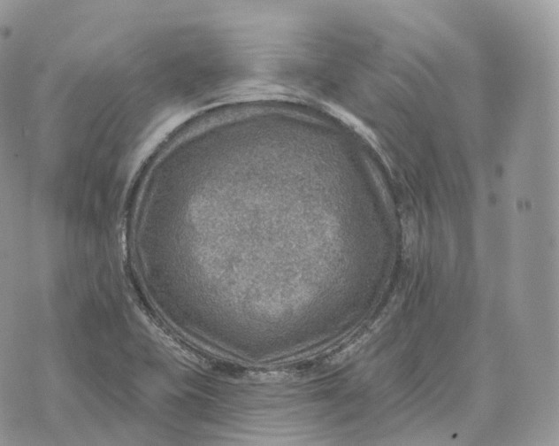 X0000072971415200608111704