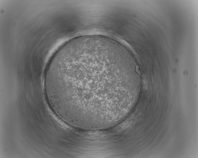 X0000072971416200608111704