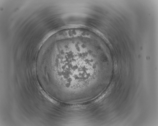 X0000072971417200608111704