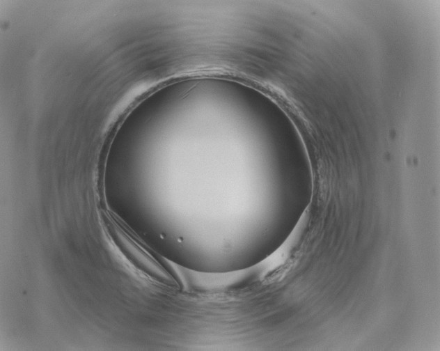 X0000072971422200608111705