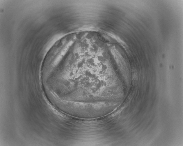 X0000072971423200608111705