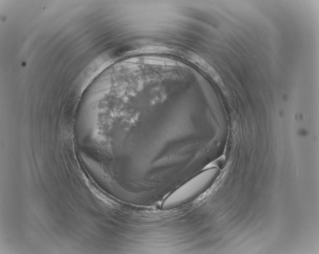 X0000072971425200608111705