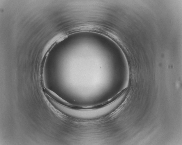 X0000072971426200608111705