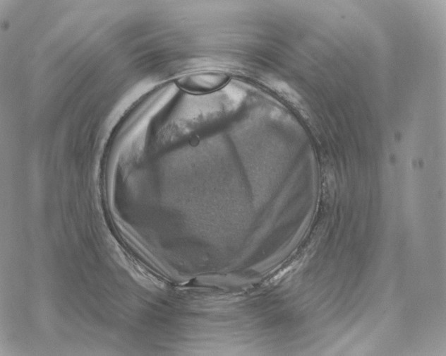 X0000072971427200608111705