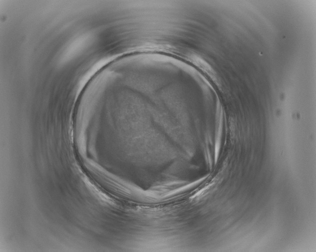 X0000072971428200608111705