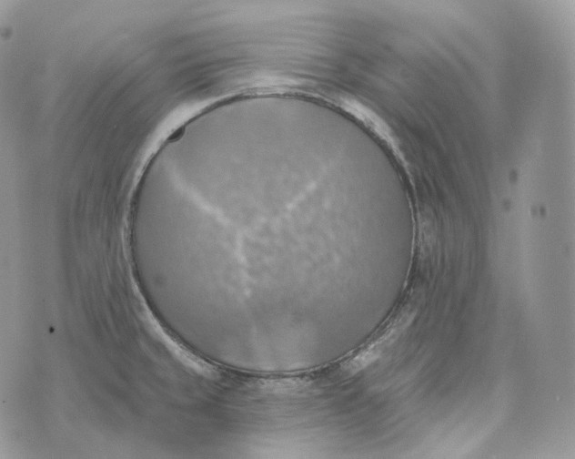 X0000072971429200608111705