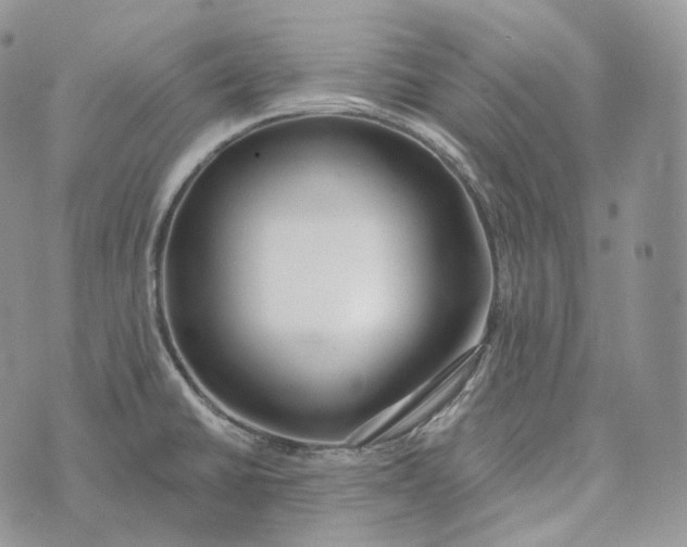 X0000072971430200608111705