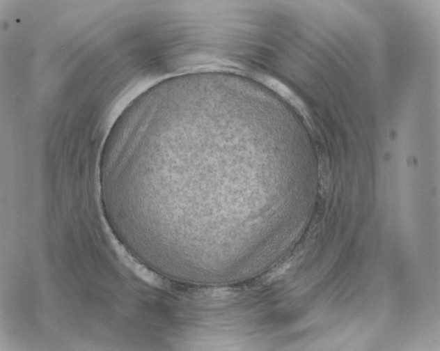 X0000072971431200608111705