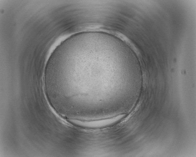 X0000072971432200608111705