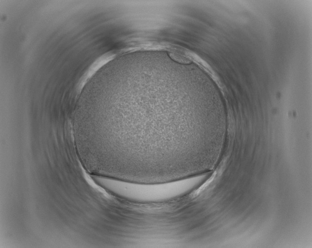 X0000072971433200608111705