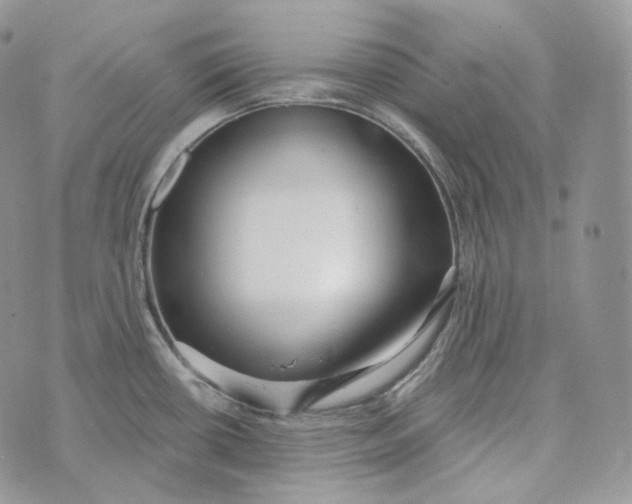 X0000072971434200608111705